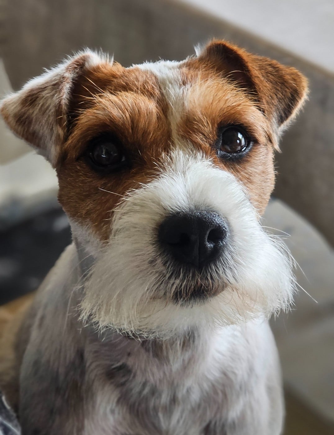 Publication : of jack and co.