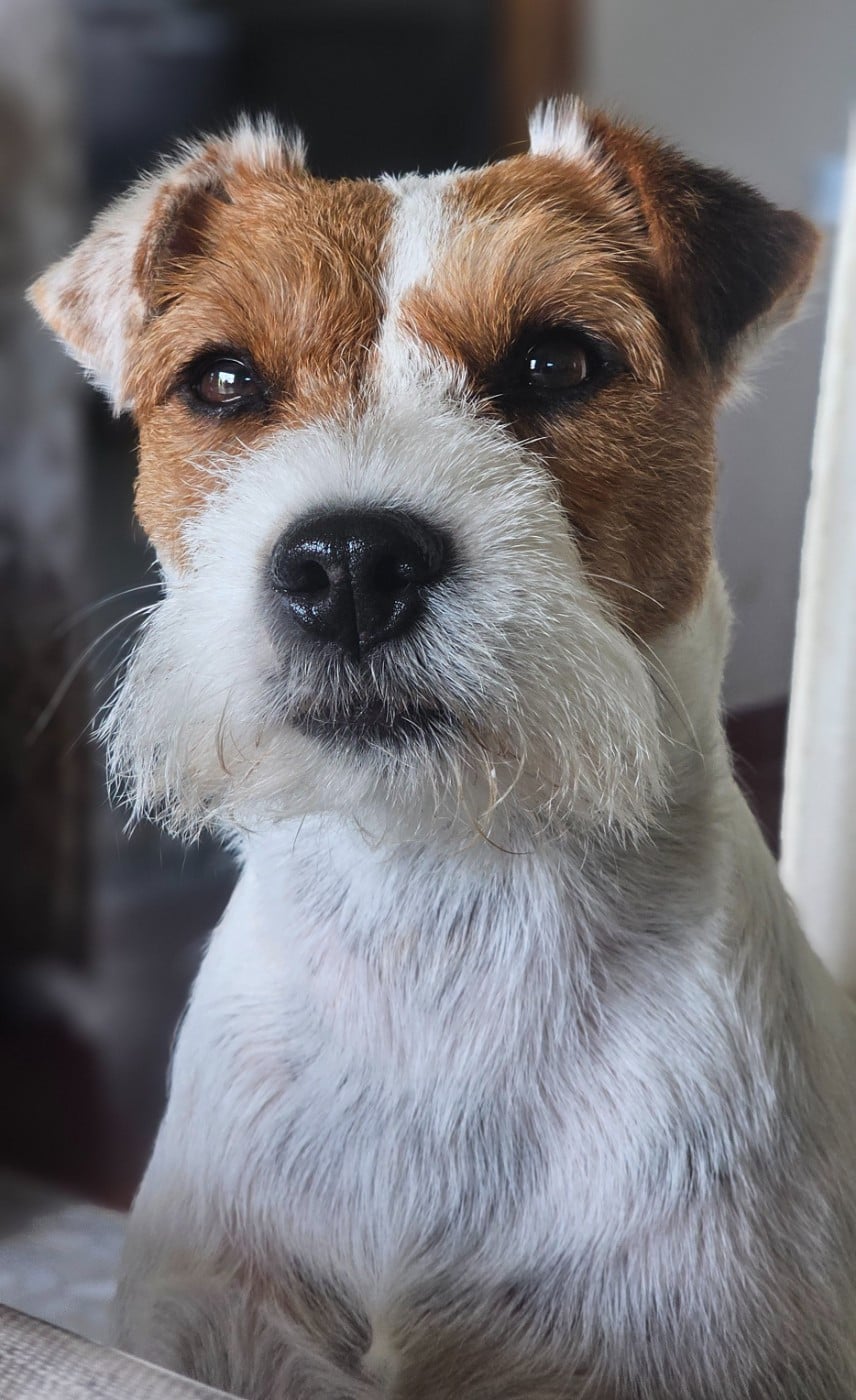 Publication : of jack and co.