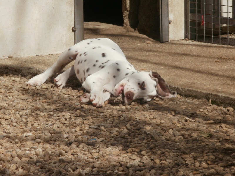 Publication : De l'eden for ever Auteur : Monneron Marion