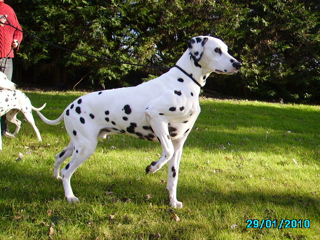 Publication : De l'eden for ever Auteur : Monneron Marion