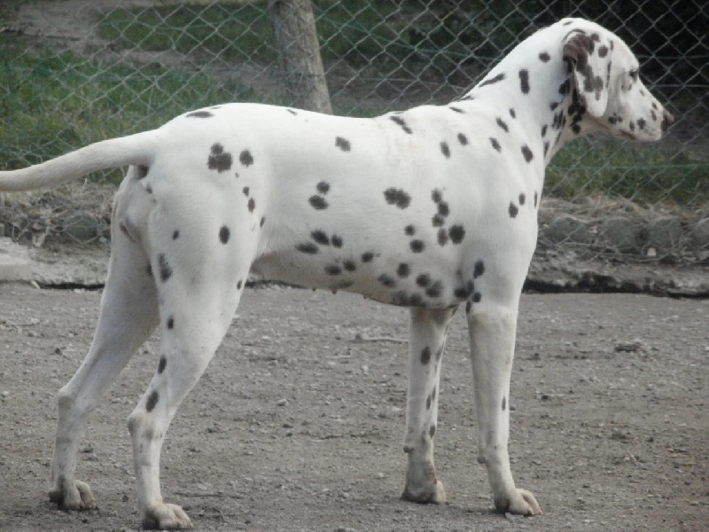 Publication : De l'eden for ever Auteur : Monneron Marion