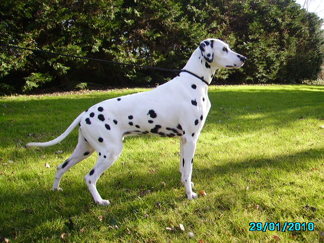 Publication : De l'eden for ever Auteur : Monneron Marion