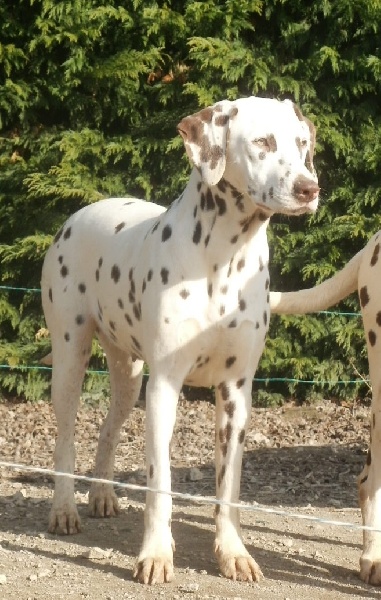 Publication : De l'eden for ever Auteur : Monneron Marion