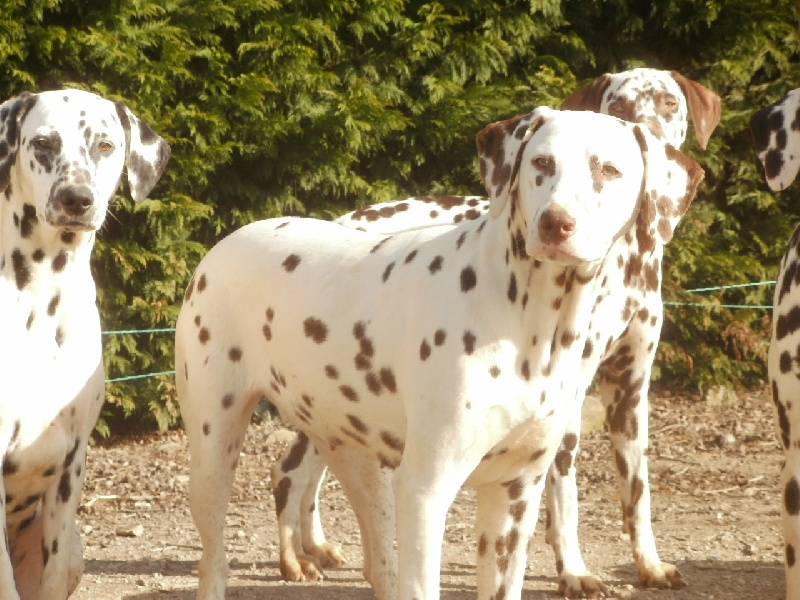 Publication : De l'eden for ever Auteur : Monneron Marion