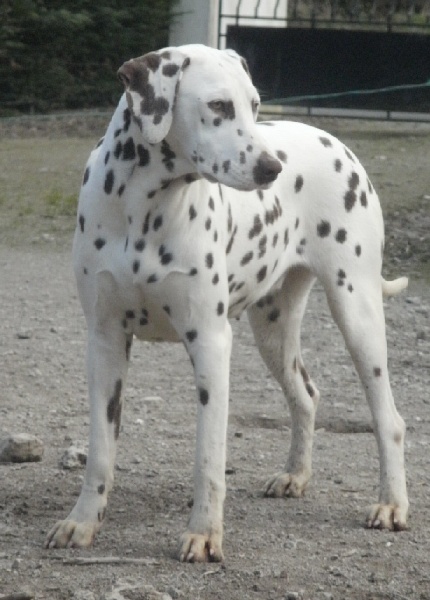 Publication : De l'eden for ever Auteur : Monneron Marion