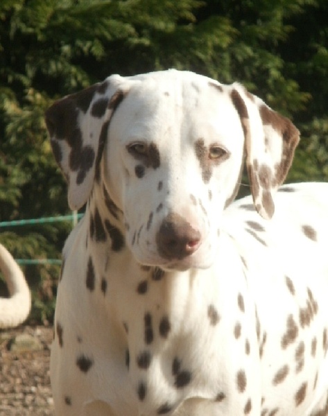 Publication : De l'eden for ever Auteur : Monneron Marion