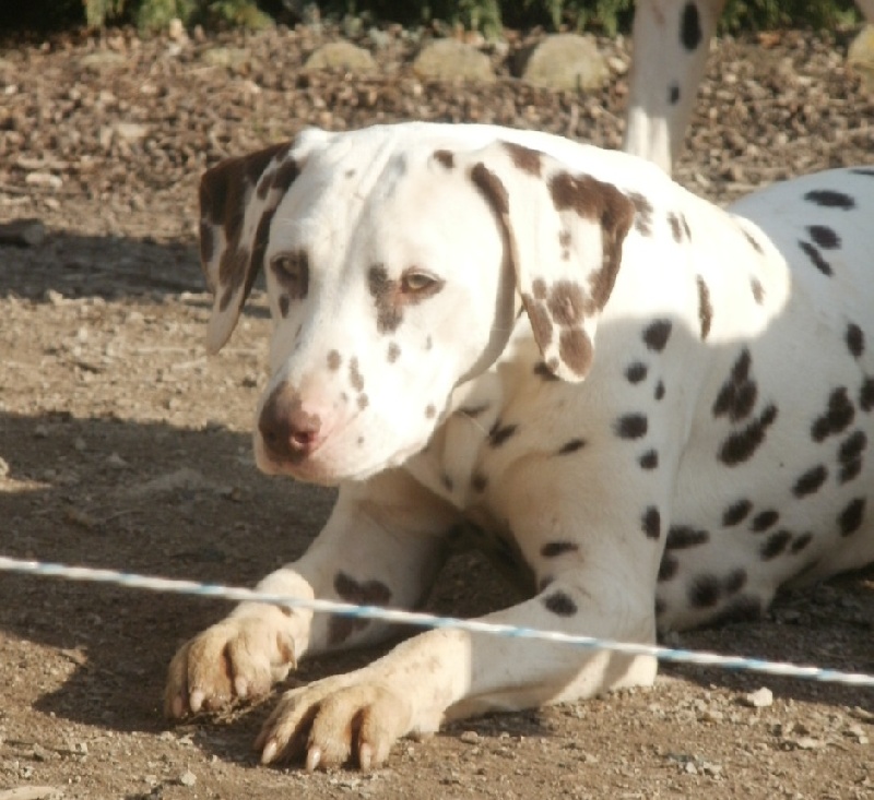 Publication : De l'eden for ever Auteur : Monneron Marion