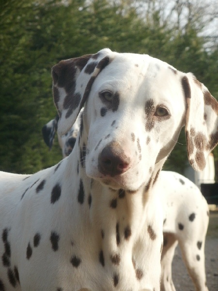 Publication : De l'eden for ever Auteur : Monneron Marion