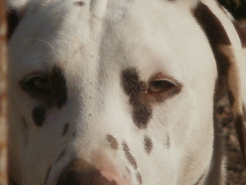 Publication : De l'eden for ever Auteur : Monneron Marion