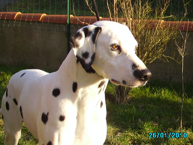 Publication : De l'eden for ever Auteur : Monneron Marion