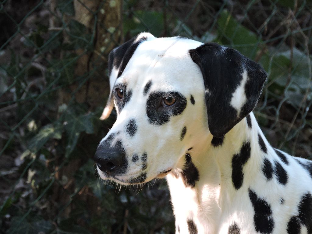 Publication : De l'eden for ever