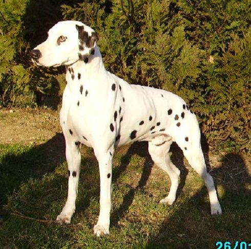 Publication : De l'eden for ever Auteur : Monneron Marion