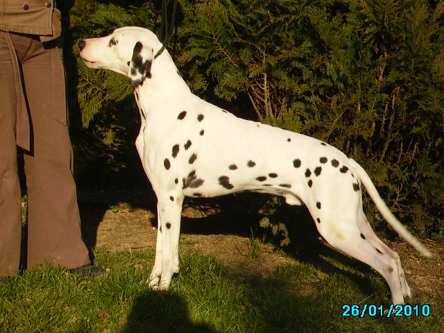 Publication : De l'eden for ever Auteur : Monneron Marion