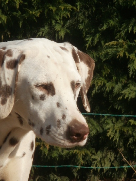 Publication : De l'eden for ever Auteur : Monneron Marion