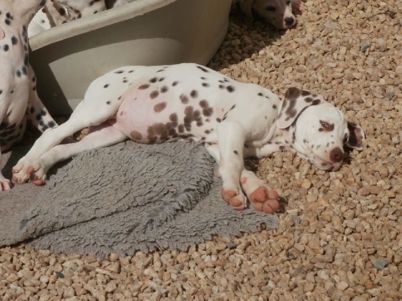 Publication : De l'eden for ever Auteur : Monneron Marion