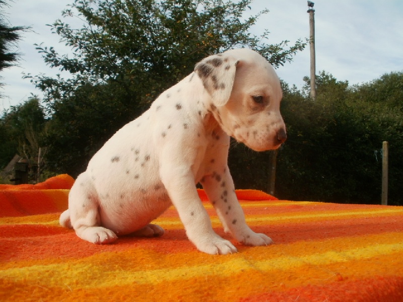 Publication : De l'eden for ever Auteur : Monneron Marion