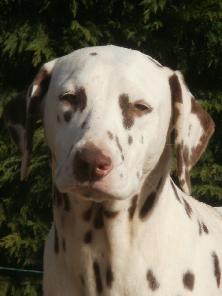 Publication : De l'eden for ever Auteur : Monneron Marion