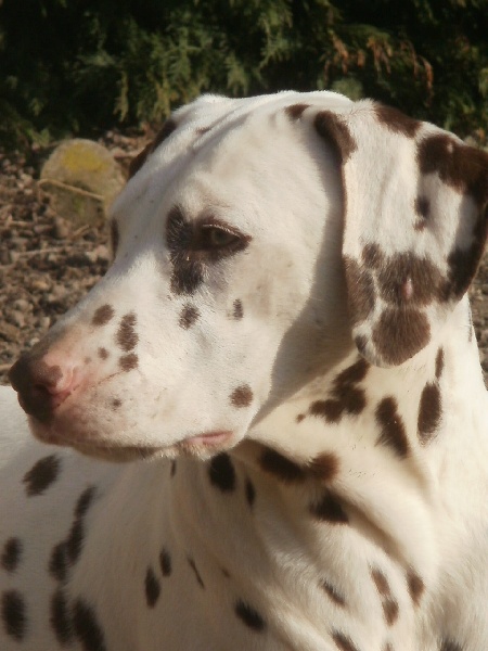 Publication : De l'eden for ever Auteur : Monneron Marion