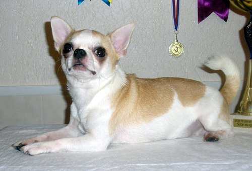 Publication : of Alixora Blue