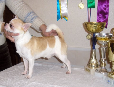 Publication : of Alixora Blue