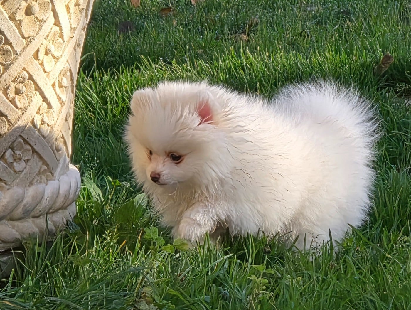 Atout c ur (le nom pourra etre changé)