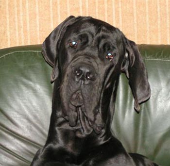 Publication : du Temple Sacré d'héloïse