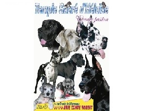 Surbunnae magnae D'edragal