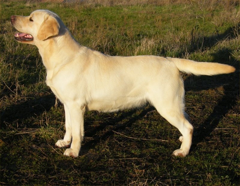 Publication : of the Ocean's Smile