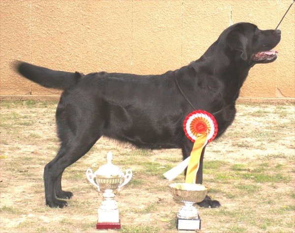 Publication : of the Ocean's Smile