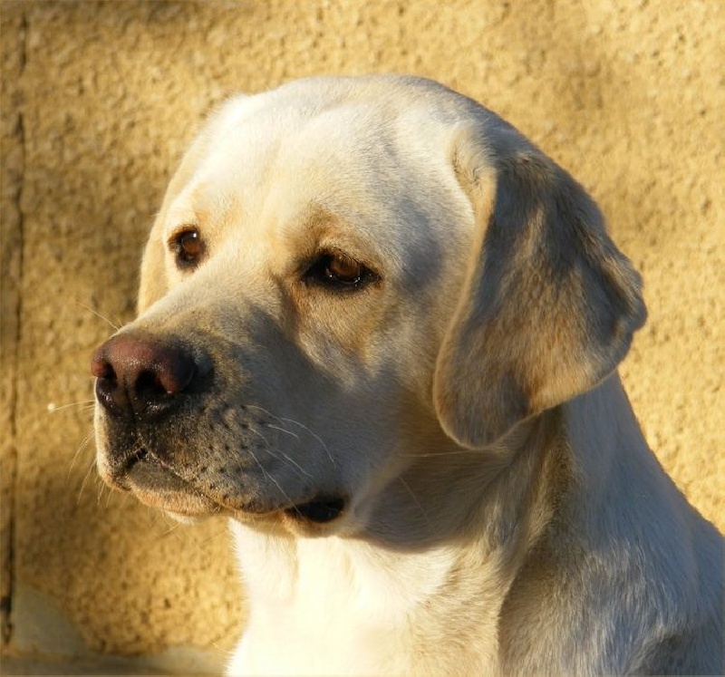 Publication : of the Ocean's Smile