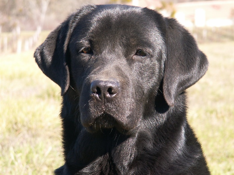 Publication : of the Ocean's Smile