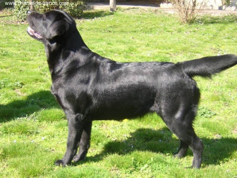 Publication : of the Ocean's Smile