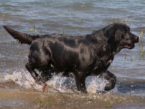 Publication : of the Ocean's Smile