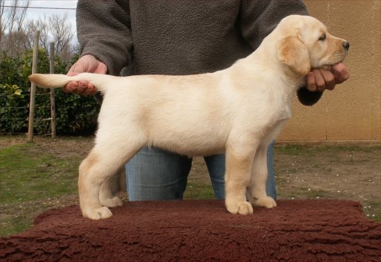 Publication : of the Ocean's Smile