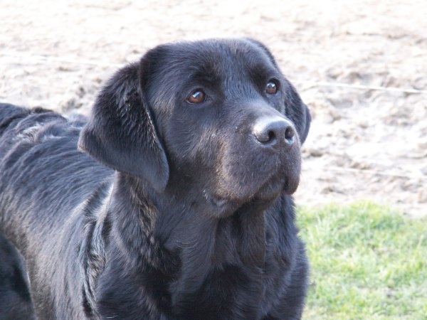 Publication : of the Ocean's Smile