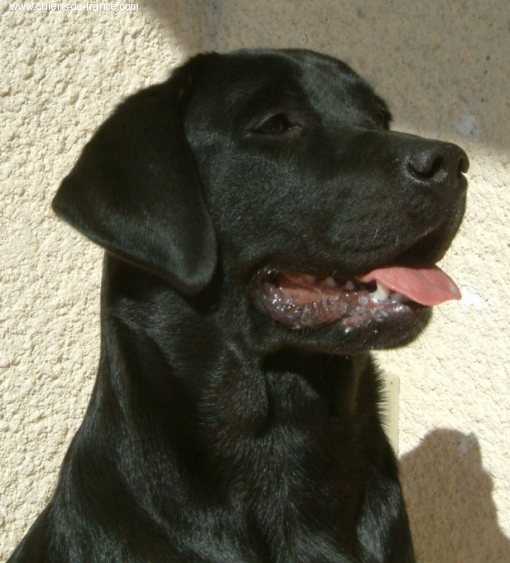 Publication : of the Ocean's Smile