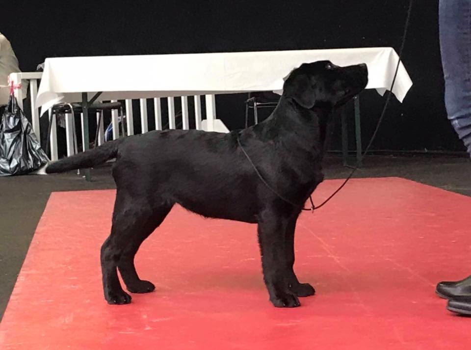 Proud to be the first of the Ocean's Smile - 2ème Très Prometteur