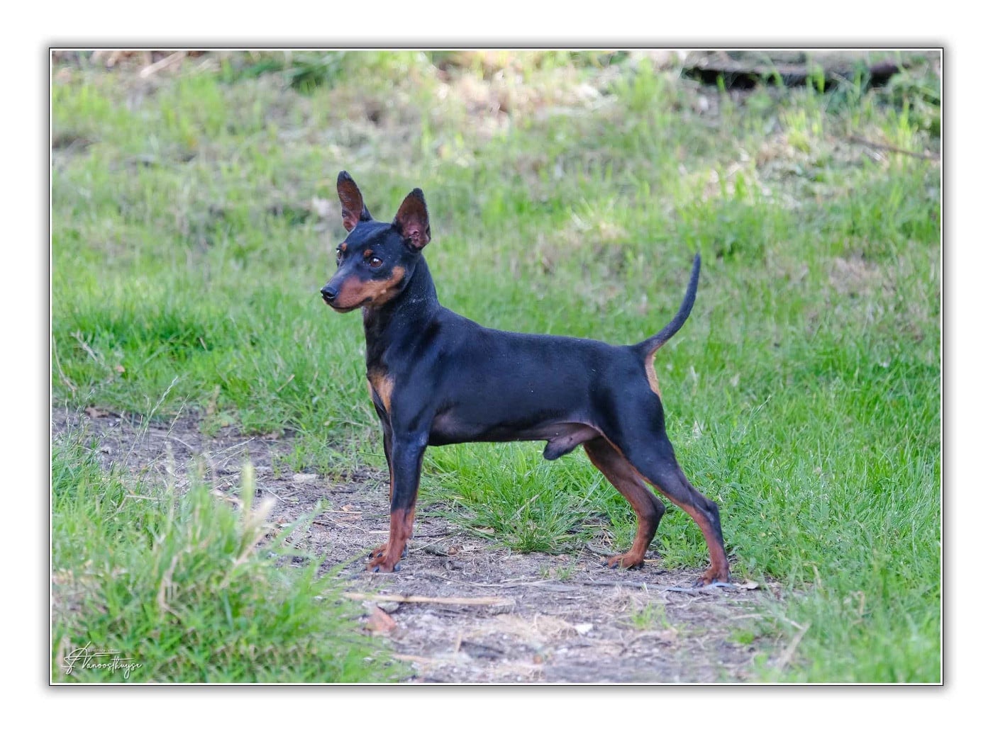 Publication : De la Maison d'Este Auteur : © Vanoosthuyse