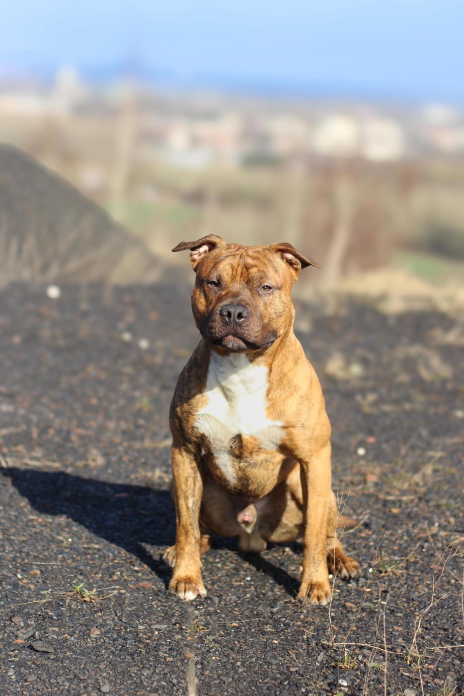 Very good vibes De la Maison d'Este