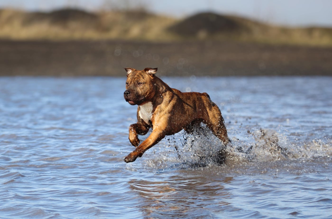 Very good vibes De la Maison d'Este