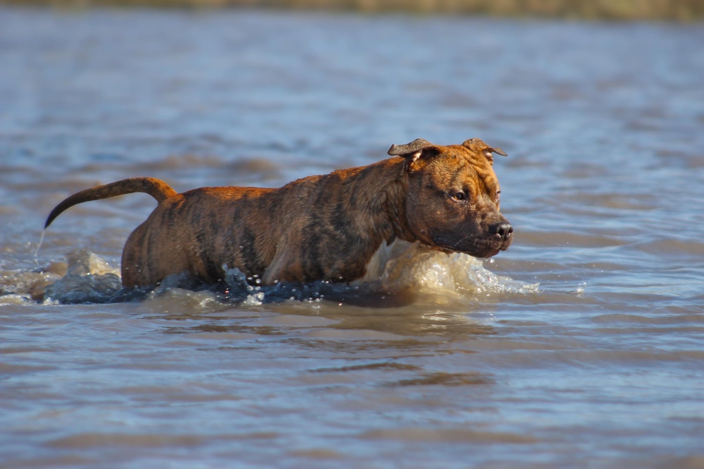 Very good vibes De la Maison d'Este