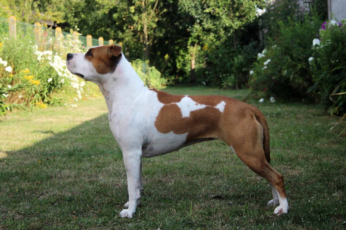 Prana De la Maison d'Este