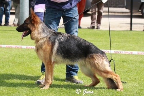 Fran fine des Terrils du Ch’ti - 4 ème