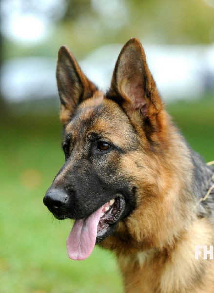 Fran fine des Terrils du Ch’ti - 5ème