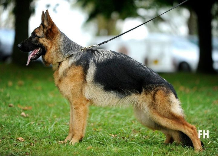 Fran fine des Terrils du Ch’ti - v 41