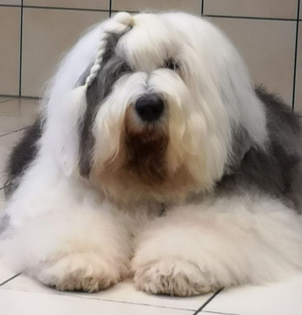 Publication : Stairway to Heaven