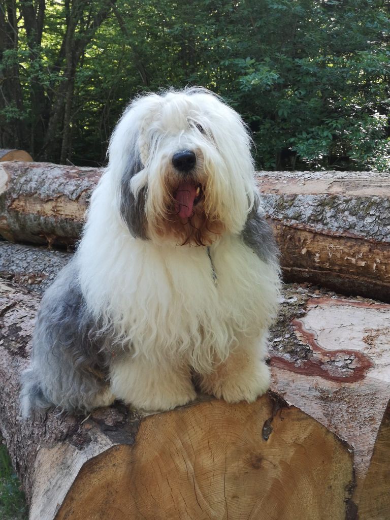 Publication : Stairway to Heaven