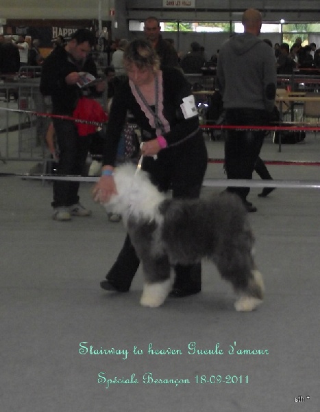 Stairway to Heaven Gueule d' amour