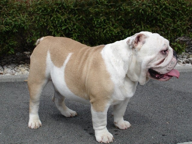 Publication : du soleil et de la lune Auteur : Patricia Rutkowski