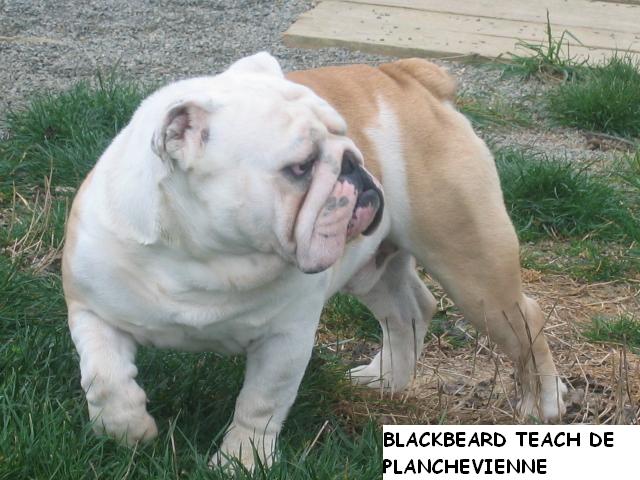 Publication : du soleil et de la lune Auteur : Patricia Rutkowski